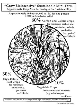 Special root crops combined with nutritionally diverse vegetables (and, of course, carbon crops) can provide a complete diet from a small area!